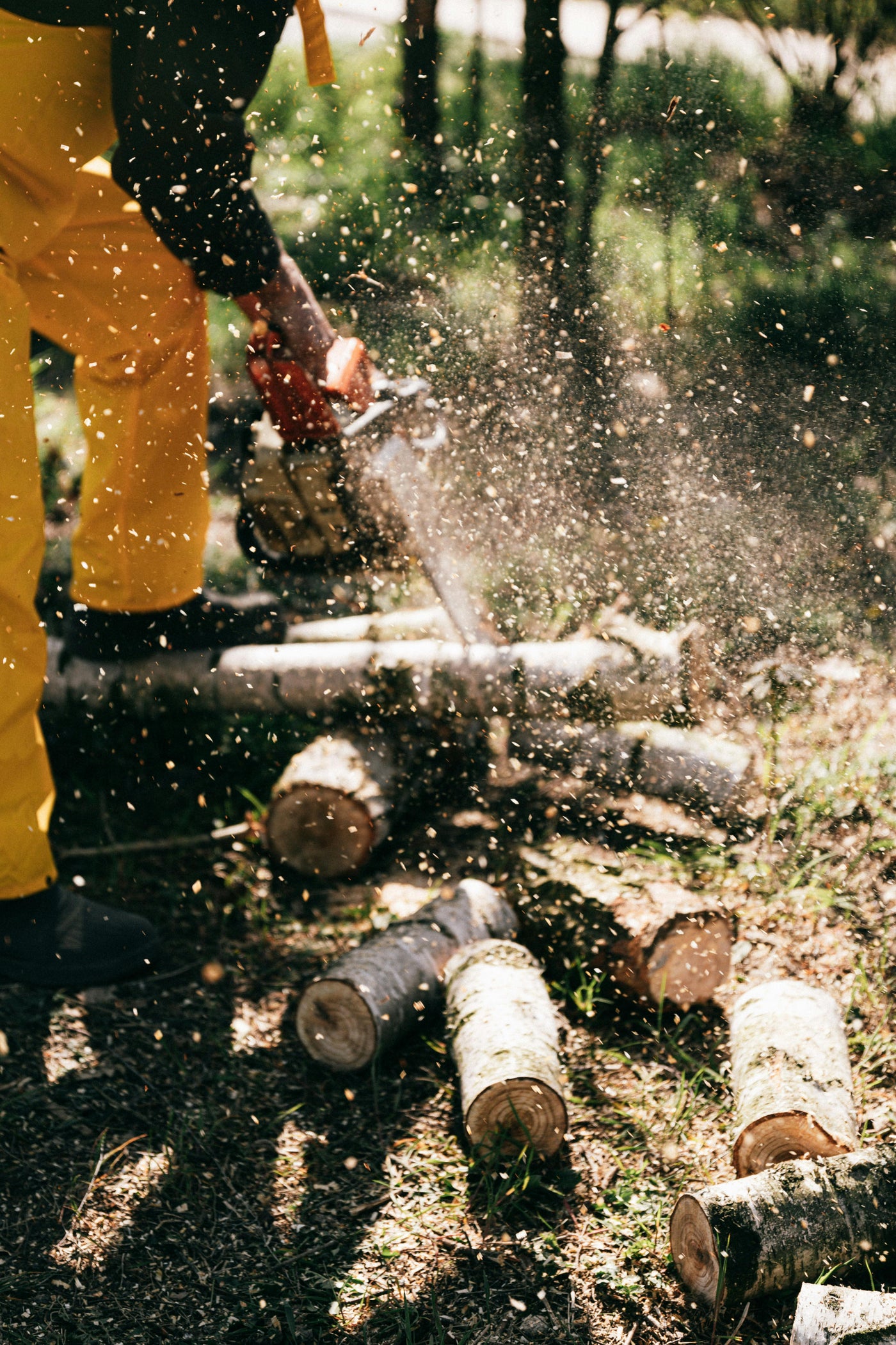 How to Maintain Forestry Equipment for Longer Lifespan and Efficiency