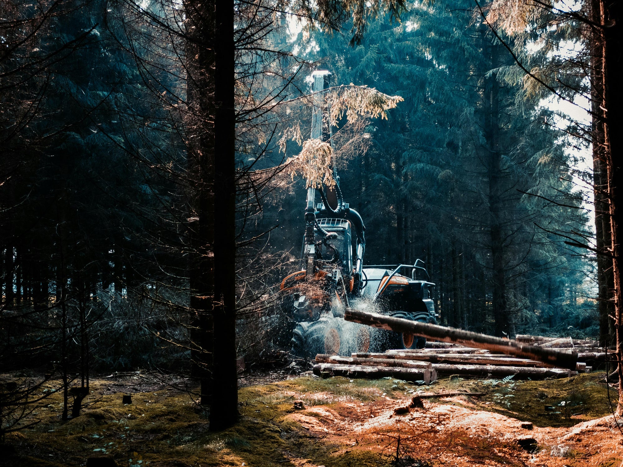 Choosing the Right Mulcher Teeth for Forestry Work
