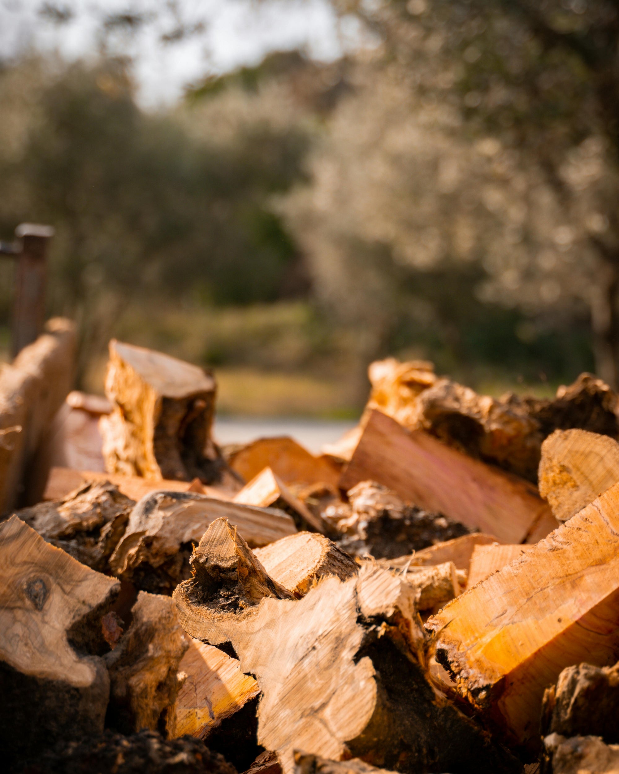 4 Tips for Extending the Life of Your Stump Grinder Teeth