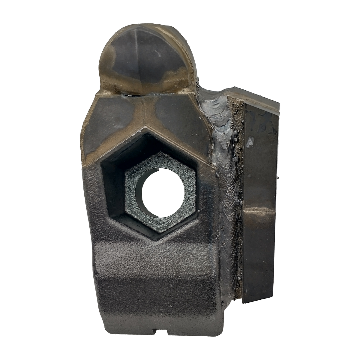 Carbide tooth for forestry equipment