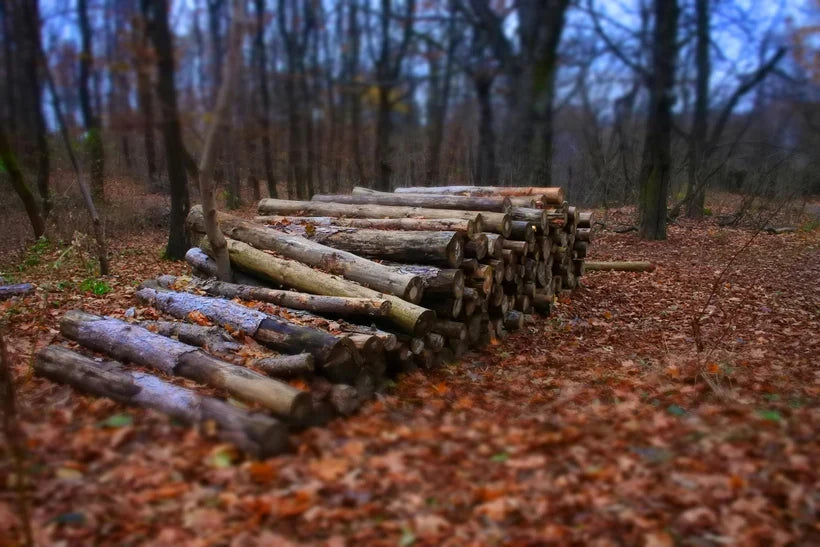 How to Know When It’s Time to Replace Your Stump Grinder Teeth