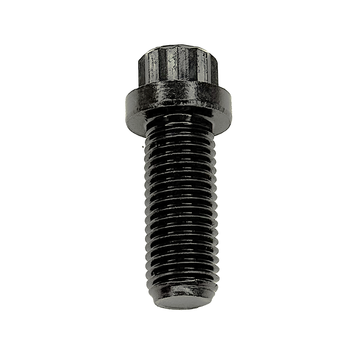 12 point flange bolt